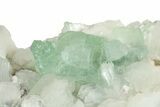 Gemmy Apophyllite Crystals with Stilbite - India #243897-1